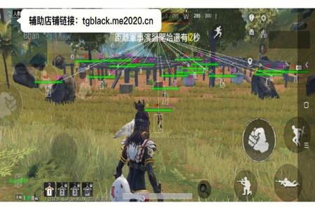 手机和平精英辅助器(免费)ios（和平精英辅助ios）